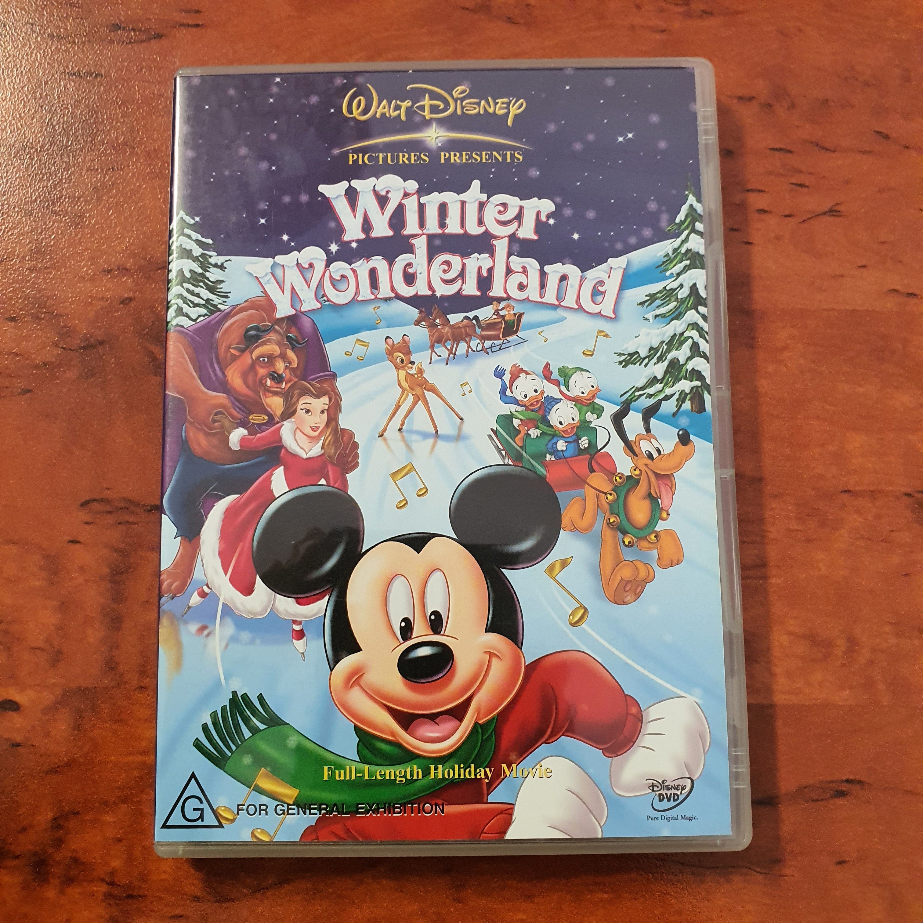 DISNEY WINTER WONDERLAND